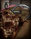     
: img_160712_101459.jpg
: 10
:	71.8 
ID:	11320515