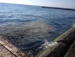     
: IMG_1037.jpg
: 65
:	244.1 
ID:	11323530