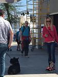     
: IMG_4388.jpg
: 63
:	106.5 
ID:	11326338