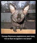     
: image.jpg
: 21
:	105.0 
ID:	11327981