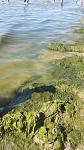     
: 20160716_092642.jpg
: 33
:	122.1 
ID:	11328232
