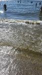     
: 20160716_093616.jpg
: 34
:	157.6 
ID:	11328233