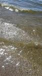     
: 20160716_093623.jpg
: 32
:	129.5 
ID:	11328235