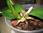     
: IMG_6456.JPG
: 10
:	98.9 
ID:	11329257