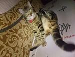     
: NzYbNuXBMlI.jpg
: 23
:	133.4 
ID:	11329298