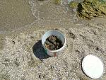     
: DSC03410.jpg
: 43
:	304.8 
ID:	11331394