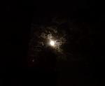     
: IMG_20160718_011440_1~01.jpg
: 5
:	104.0 
ID:	11332384
