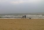     
: Фото0807.jpg
: 34
:	188.3 
ID:	11334168
