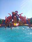     
: DSC_0722.jpg
: 172
:	72.3 
ID:	11335773