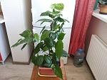     
: 20160720_111134.jpg
: 16
:	140.4 
ID:	11338981