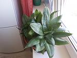     
: 20160720_111201.jpg
: 12
:	106.2 
ID:	11338985