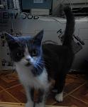     
: i8iC7drq9Ug.jpg
: 22
:	76.6 
ID:	11339276