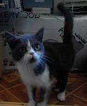     
: 8DYGG7YHehk.jpg
: 16
:	103.6 
ID:	11339278