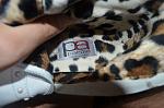     
: DSC_0167.jpg
: 13
:	92.1 
ID:	11339869