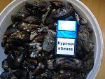     
: IMG_20160721_113031.jpg
: 4
:	169.7 
ID:	11341880