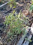     
: P60722-081857.jpg
: 10
:	210.5 
ID:	11344390
