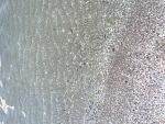    
: image.jpg
: 72
:	170.4 
ID:	11345114