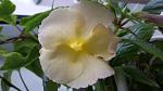     
: 20160722_102548.jpg
: 3
:	64.4 
ID:	11346421