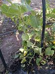     
: P60722-184218.jpg
: 6
:	175.8 
ID:	11346574