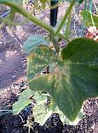     
: P60722-184256.jpg
: 8
:	153.6 
ID:	11346580