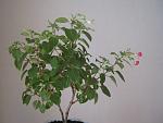     
: IMG_6543.jpg
: 6
:	98.9 
ID:	11346818