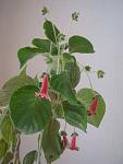     
: IMG_6551.jpg
: 6
:	64.9 
ID:	11346820