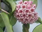     
: IMG_6443.jpg
: 5
:	104.8 
ID:	11346825
