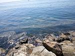     
: P60723-105828.jpg
: 95
:	248.8 
ID:	11347797