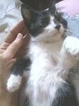     
: 20160721-Принц4.jpg
: 11
:	54.6 
ID:	11350094
