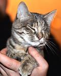     
: Rusya 2.jpg
: 136
:	98.0 
ID:	11353386