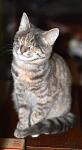     
: 329q7yoxFlQ.jpg
: 139
:	20.6 
ID:	11353387