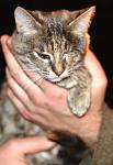     
: Rusya.jpg
: 149
:	58.9 
ID:	11353388