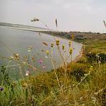     
: IMG_20160726_124729.jpg
: 4
:	146.7 
ID:	11353516
