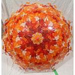     
: IMG_5846-250x250 (1).JPG
: 17
:	27.4 
ID:	11353812