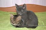     
: DSC_4402.jpg
: 8
:	178.0 
ID:	11354925
