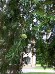     
: P60612-150711.jpg
: 34
:	134.0 
ID:	11355536