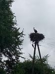     
: P60614-140440.jpg
: 36
:	100.4 
ID:	11355540