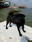    
: E6WRIAYLjAs.jpg
: 3
:	110.3 
ID:	11355706