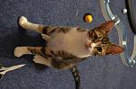     
: DSC_0581.jpg
: 11
:	104.6 
ID:	11355761