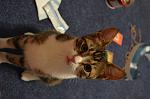     
: DSC_0593.jpg
: 11
:	80.0 
ID:	11355762