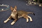     
: DSC_0557.jpg
: 10
:	177.1 
ID:	11355763
