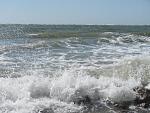     
: IMG_2207.JPG
: 43
:	37.4 
ID:	1135660