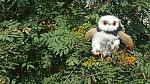     
: 20160727_113627.jpg
: 10
:	218.1 
ID:	11356673