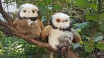     
: 20160727_112906.jpg
: 8
:	163.3 
ID:	11356679