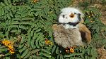     
: 20160727_113524.jpg
: 11
:	192.5 
ID:	11356680