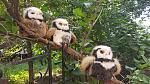     
: 20160727_113039.jpg
: 9
:	194.0 
ID:	11356684