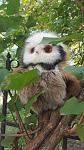     
: 20160727_113125.jpg
: 10
:	104.0 
ID:	11356686