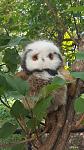     
: 20160727_113117.jpg
: 6
:	107.4 
ID:	11356690