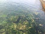     
: море.jpg
: 26
:	235.4 
ID:	11360846