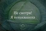     
: lOEn3s11mR4.jpg
: 25
:	39.7 
ID:	11362511